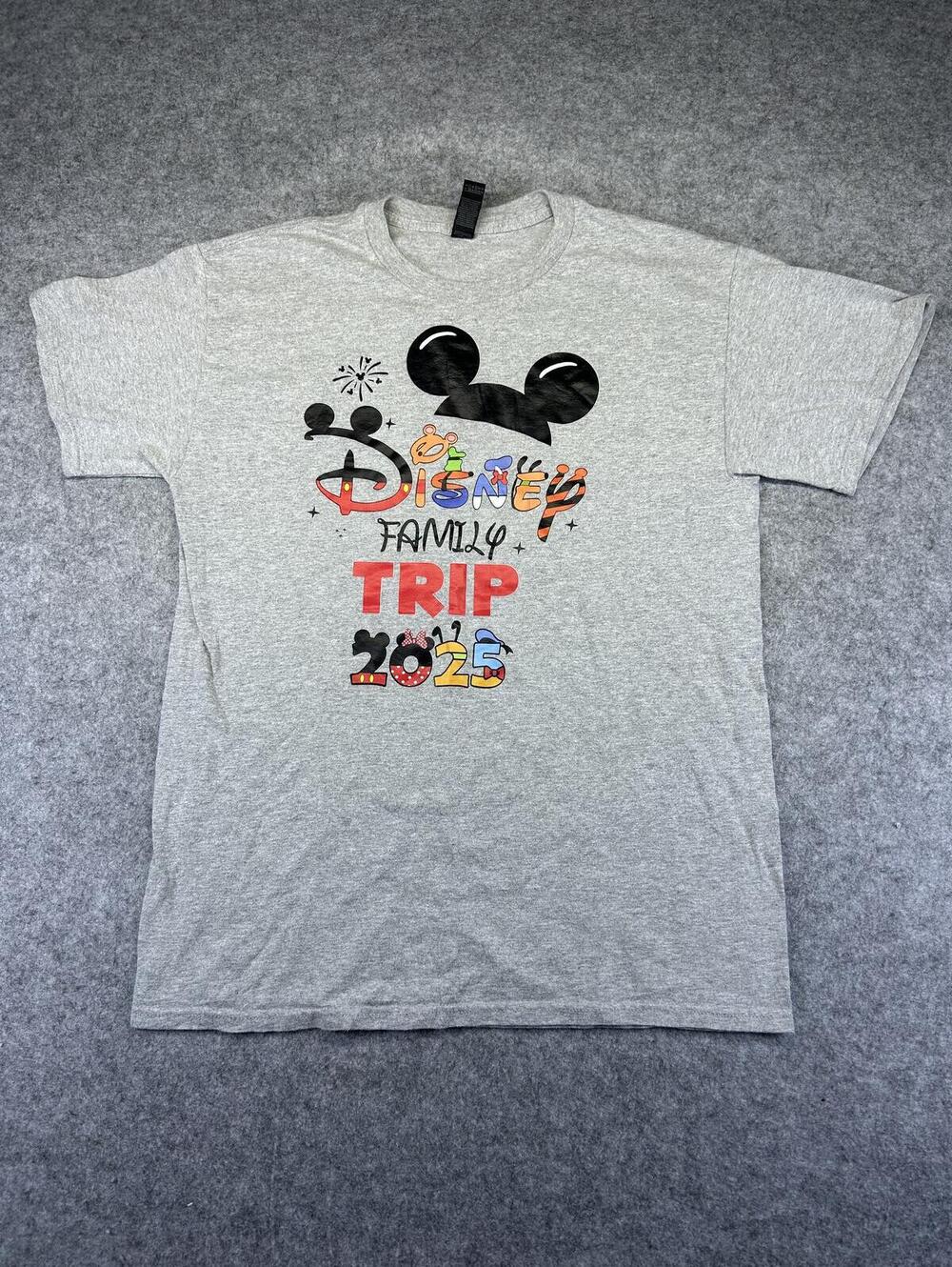Gildan Disney Family Trip 2025 Graphic T-Shirt Mens Sz M